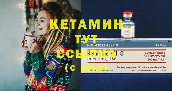 шишки Бородино