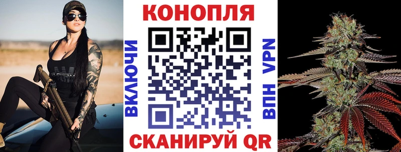 дарнет шоп Изобильный кракен вход Канабис сатива